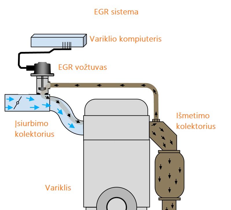 EGR programavimas / taisymas Autura